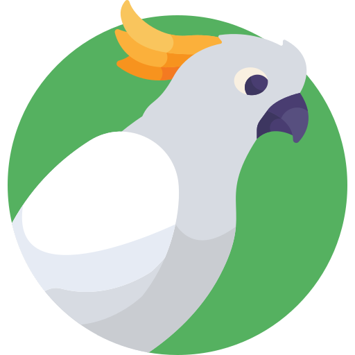 Vogel